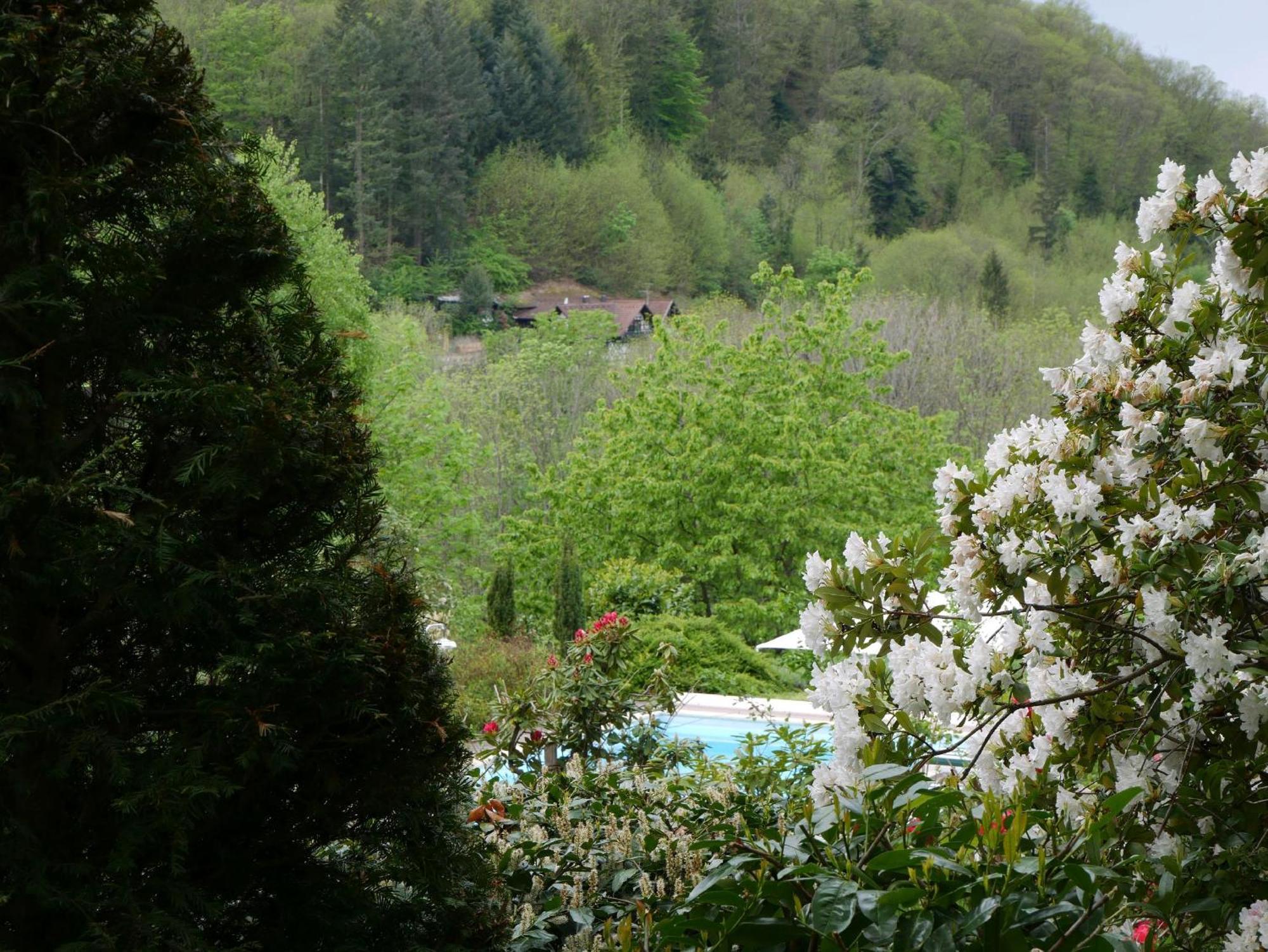 Straubehof Holiday home Sasbachwalden